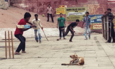 Indian Street Cricket