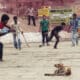 Indian Street Cricket